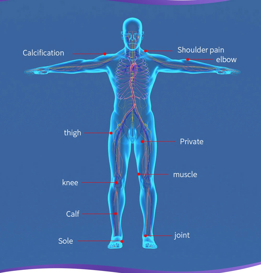 shockwave therapy machine price